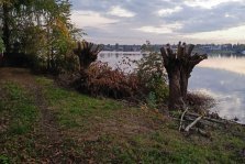 выкса.рф, 🌳 Почему вырубают деревья у Лодочной станции?